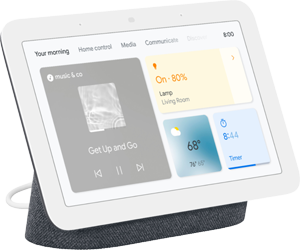 Google Nest Hub (2nd Gen)